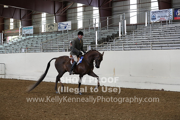 AHANC19_ThursAM_0173