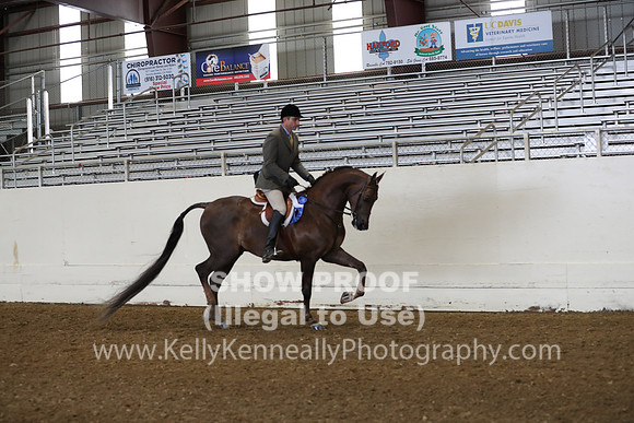 AHANC19_ThursAM_0175
