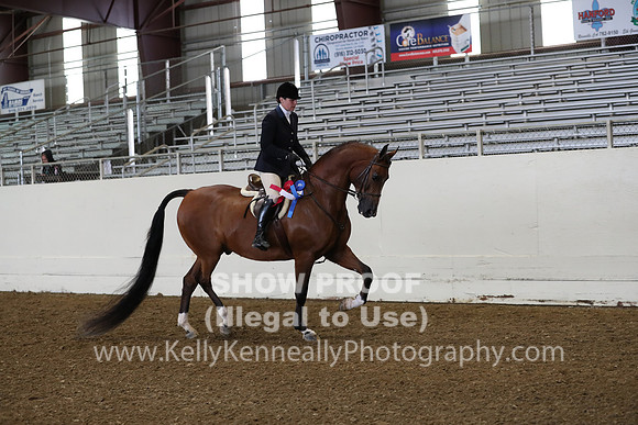 AHANC19_ThursAM_0180