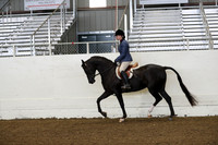 Class 8 HA/AA Hunter Pleasure Jr Horses
