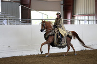 Class 9 Arabian Mounted Native Costume Open