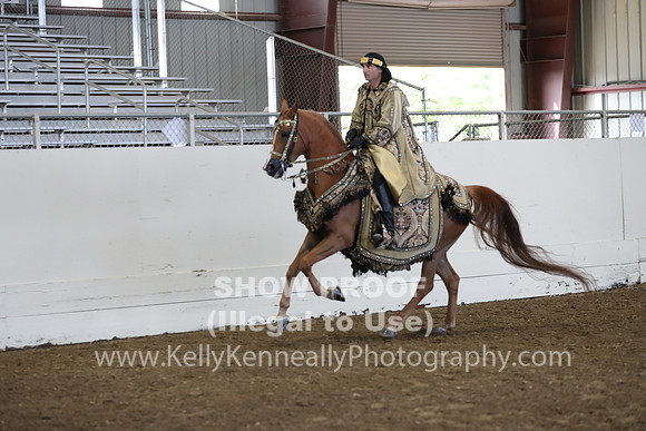 AHANC19_ThursAM_0236