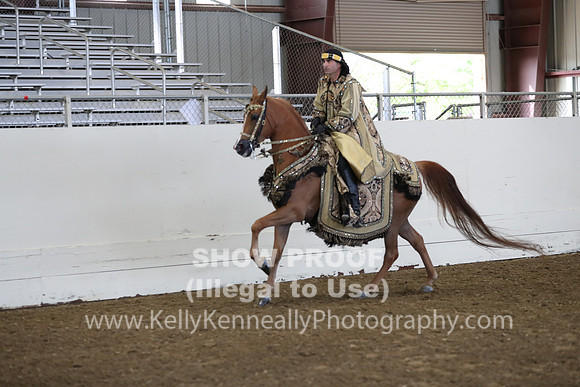 AHANC19_ThursAM_0237