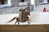 NativeCostume/SideSaddle