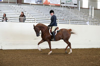 Class 10 Arabian Hunter Pleasure Novice Horses