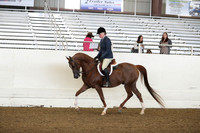 AHANC19_ThursAM_0273