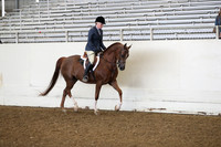 AHANC19_ThursAM_0281