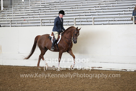 AHANC19_ThursAM_0281
