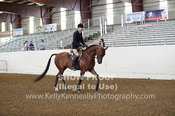 AHANC19_ThursAM_0294