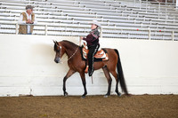 AHANC19_ThursAM_0308