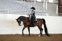 AHANC19_ThursAM_0311