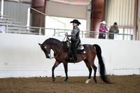 AHANC19_ThursAM_0309
