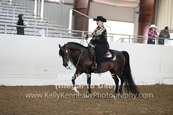 AHANC19_ThursAM_0315