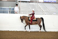 AHANC19_ThursAM_0327