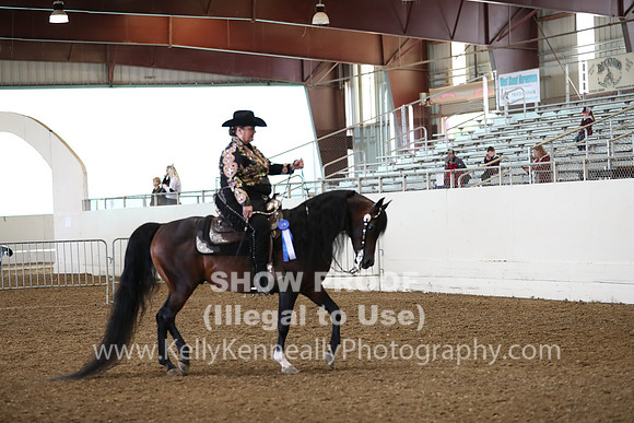 AHANC19_ThursAM_0354