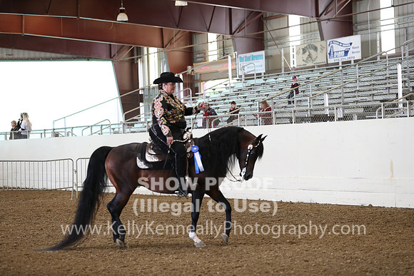 AHANC19_ThursAM_0355