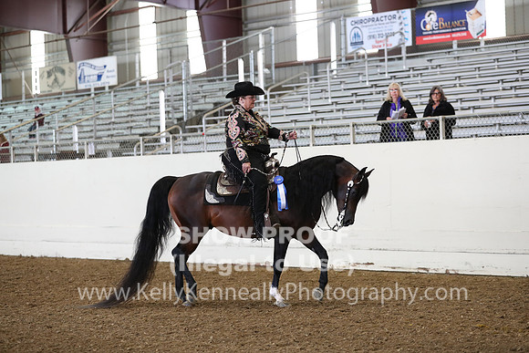 AHANC19_ThursAM_0357