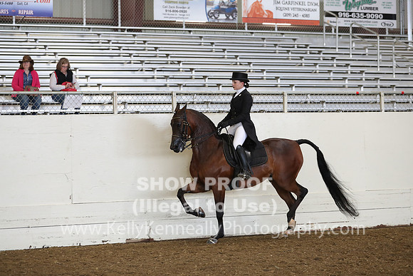 AHANC19_ThursAM_0368