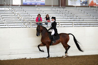 AHANC19_ThursAM_0369