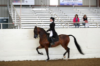 AHANC19_ThursAM_0370