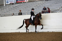 AHANC19_ThursAM_0374