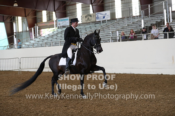 AHANC19_ThursAM_0375