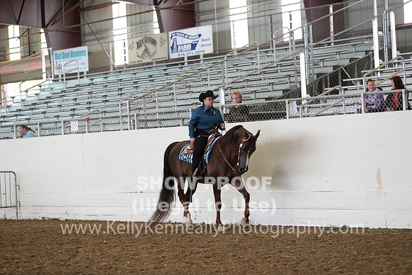 AHANC19_ThursAM_0412
