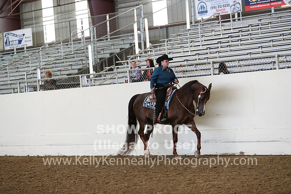 AHANC19_ThursAM_0413