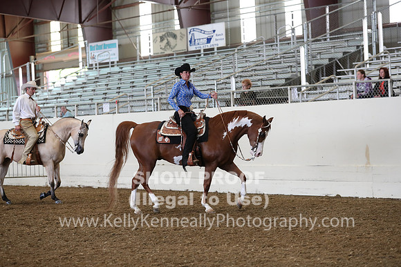 AHANC19_ThursAM_0414