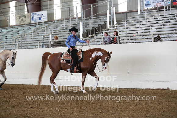 AHANC19_ThursAM_0415