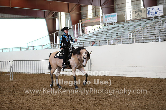 AHANC19_ThursAM_0417