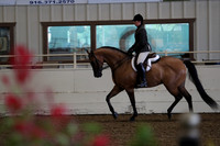Class 14 HA/AA Hunter Pleasure AAOTR 40 & Over
