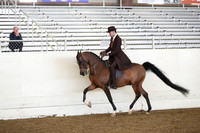 AHANC19_ThursAM_0469