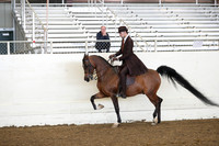 AHANC19_ThursAM_0470