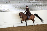 AHANC19_ThursAM_0468