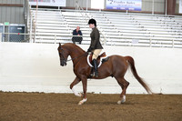 AHANC19_ThursAM_0494