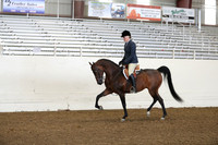 AHANC19_ThursAM_0496