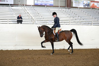 AHANC19_ThursAM_0497