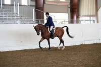 AHANC19_ThursAM_0501