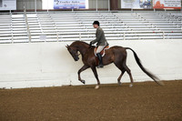 Class 19 HA/AA Hunter Pleasure Limit Horses