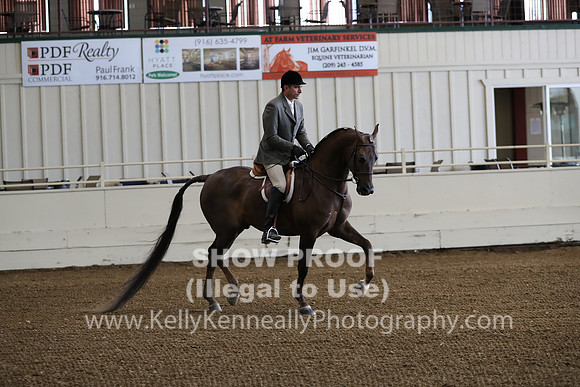 AHANC19_ThursPM_0540