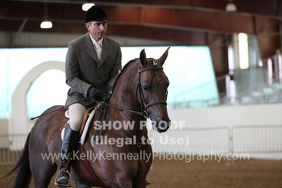 AHANC19_ThursPM_0543