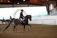 AHANC19_ThursPM_0545
