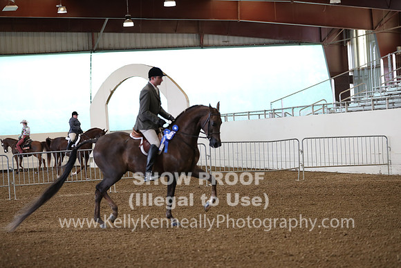 AHANC19_ThursPM_0545