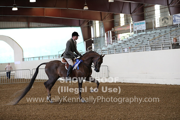 AHANC19_ThursPM_0546