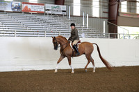 AHANC19_ThursPM_0558