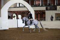 Class 20 Arabian Hunter Pleasure AATR Elite & Choice Riders