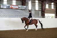 AHANC19_ThursPM_0562