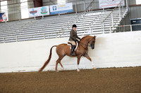 AHANC19_ThursPM_0575