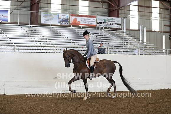 AHANC19_ThursPM_0603